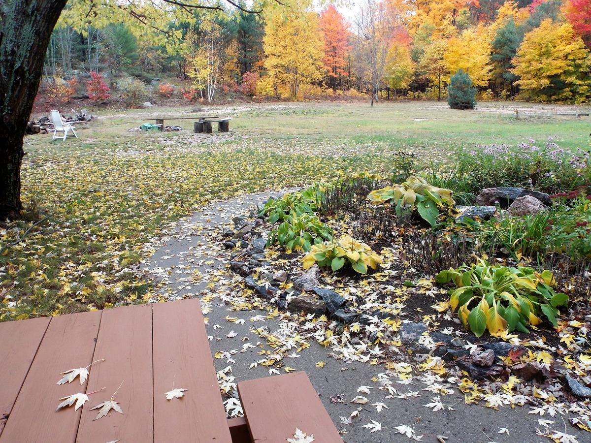 Bear & Butterfly Bed and Breakfast Gravenhurst Exterior foto