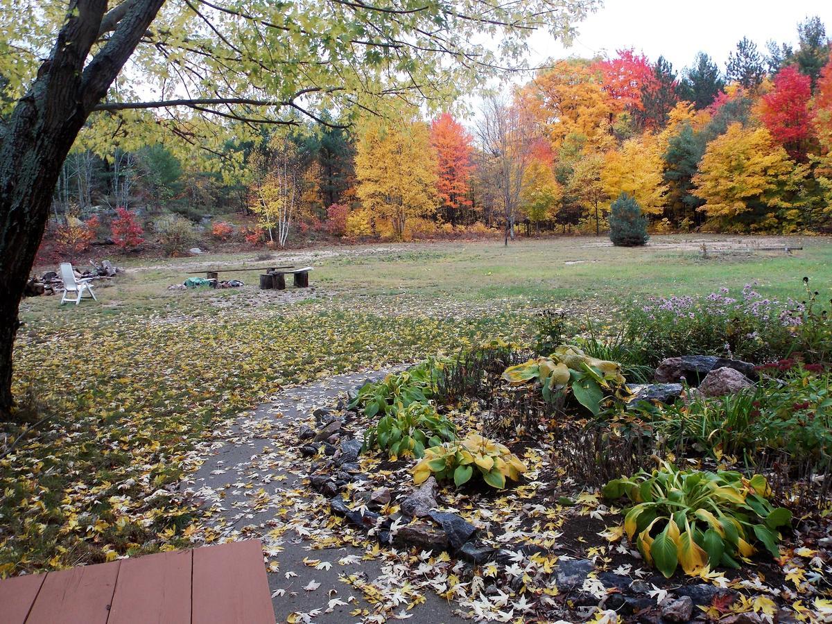 Bear & Butterfly Bed and Breakfast Gravenhurst Exterior foto